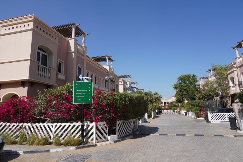 Palm Oasis